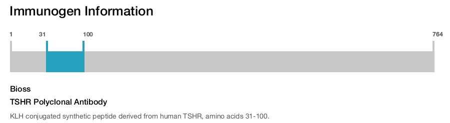TSHR Polyclonal Antibody