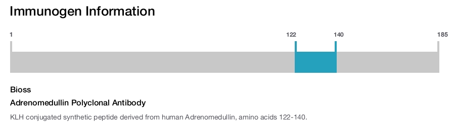 Adrenomedullin Polyclonal Antibody