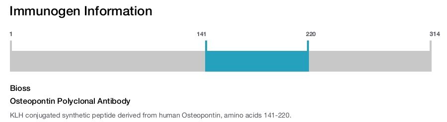 Osteopontin Polyclonal Antibody