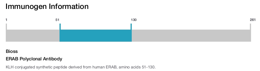 ERAB Polyclonal Antibody