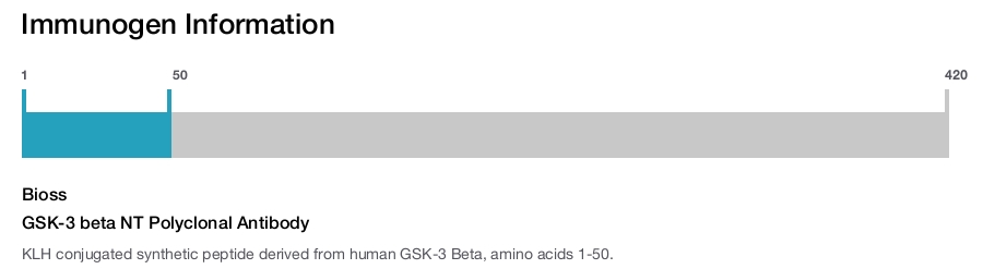GSK-3 beta NT Polyclonal Antibody