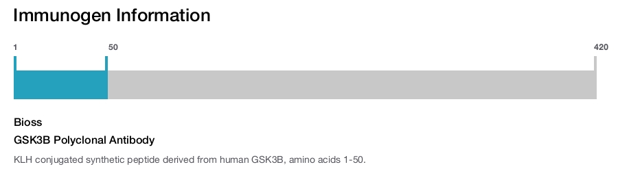 GSK3B Polyclonal Antibody