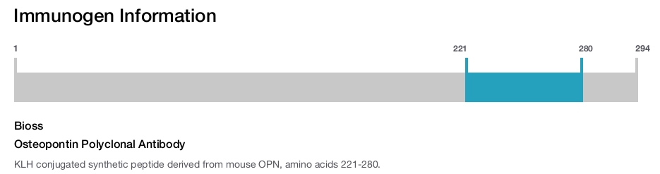 Osteopontin Polyclonal Antibody