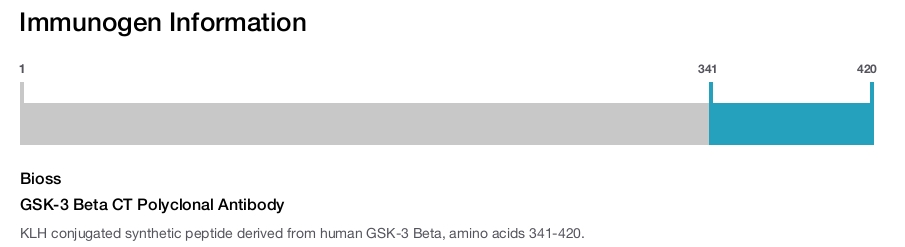 GSK-3 Beta CT Polyclonal Antibody