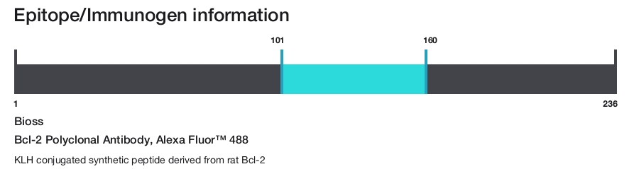 Bcl-2 Polyclonal Antibody, Alexa Fluor&trade; 488
