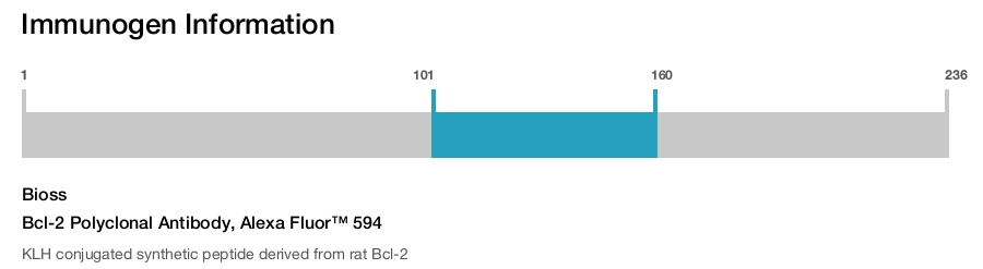 Bcl-2 Polyclonal Antibody, Alexa Fluor&trade; 594