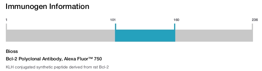 Bcl-2 Polyclonal Antibody, Alexa Fluor&trade; 750