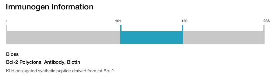 Bcl-2 Polyclonal Antibody, Biotin