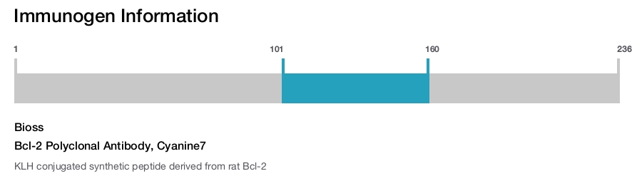 Bcl-2 Polyclonal Antibody, Cyanine7