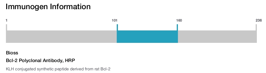 Bcl-2 Polyclonal Antibody, HRP