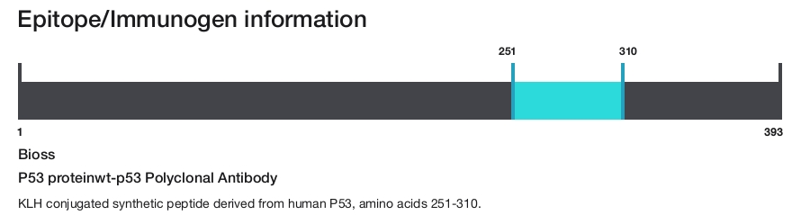 P53 proteinwt-p53 Polyclonal Antibody