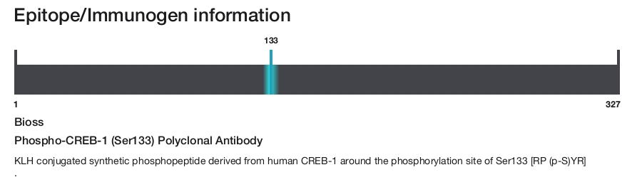 Phospho-CREB-1 (Ser133) Polyclonal Antibody