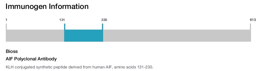 AIF Polyclonal Antibody
