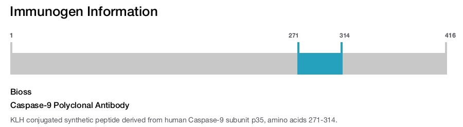 Caspase-9 Polyclonal Antibody