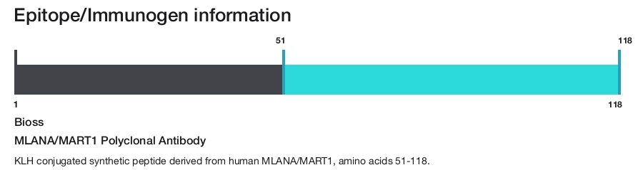 MLANA/MART1 Polyclonal Antibody