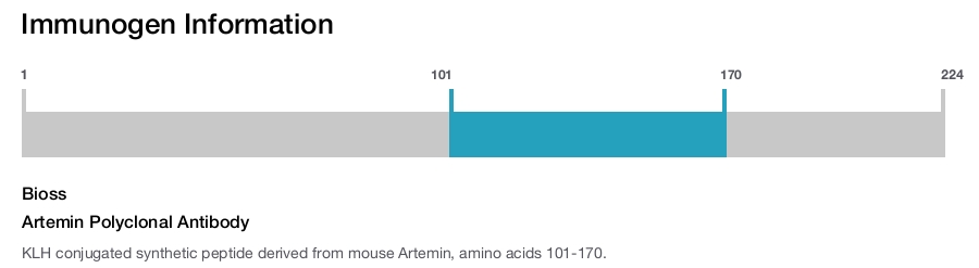 Artemin Polyclonal Antibody