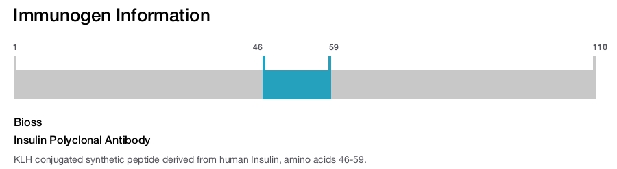 Insulin Polyclonal Antibody
