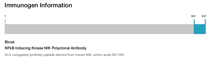NFkB Inducing Kinase NIK Polyclonal Antibody
