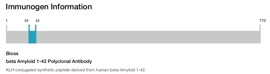 beta Amyloid 1-42 Polyclonal Antibody