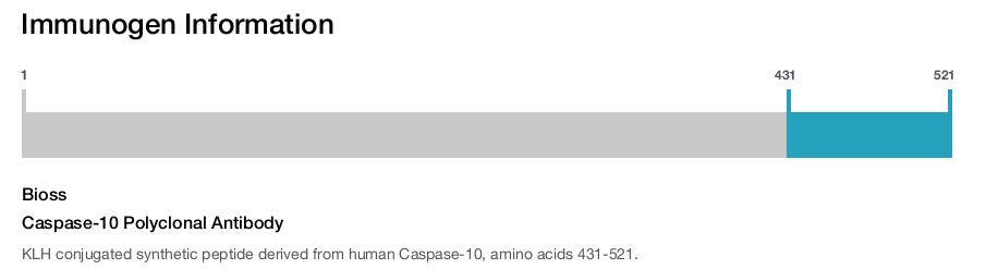 Caspase-10 Polyclonal Antibody