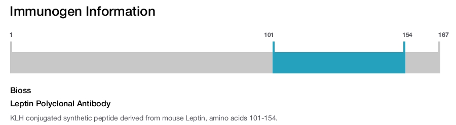 Leptin Polyclonal Antibody