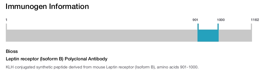 Leptin receptor (Isoform B) Polyclonal Antibody