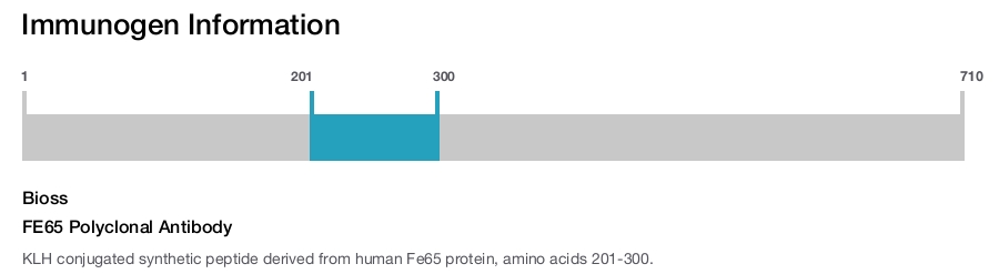 FE65 Polyclonal Antibody