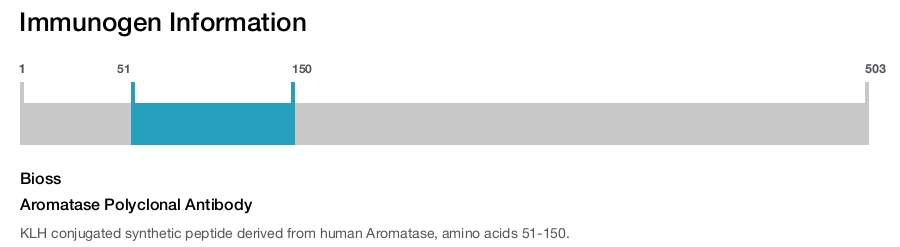 Aromatase Polyclonal Antibody