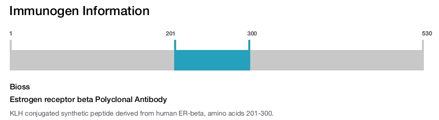 Estrogen receptor beta Polyclonal Antibody