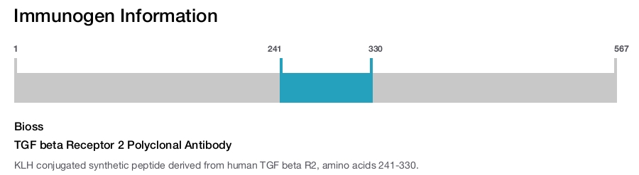 TGF beta Receptor 2 Polyclonal Antibody