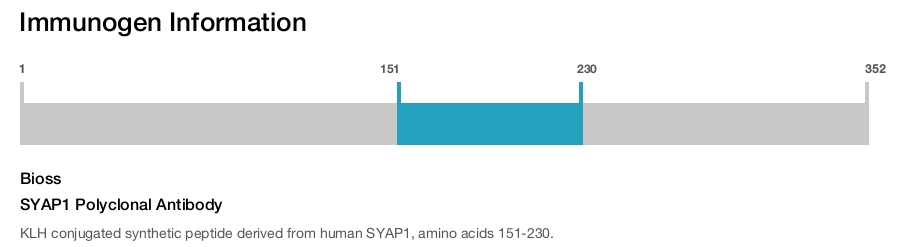 SYAP1 Polyclonal Antibody
