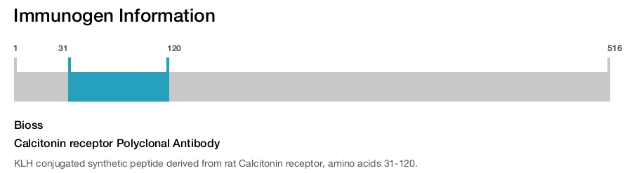 Calcitonin receptor Polyclonal Antibody