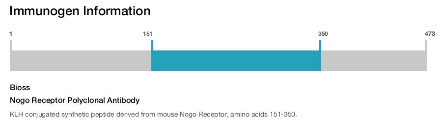 Nogo Receptor Polyclonal Antibody