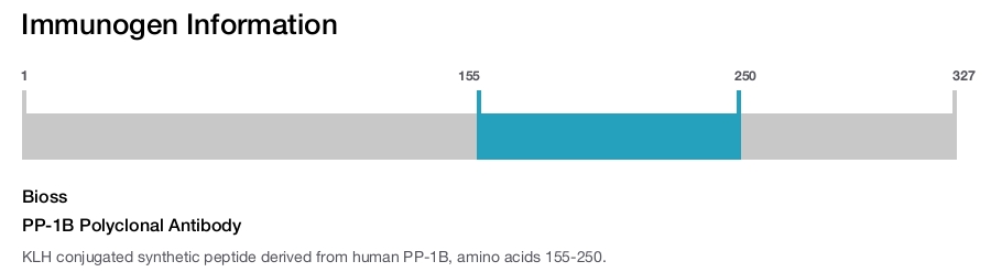 PP-1B Polyclonal Antibody