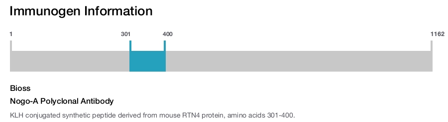 Nogo-A Polyclonal Antibody