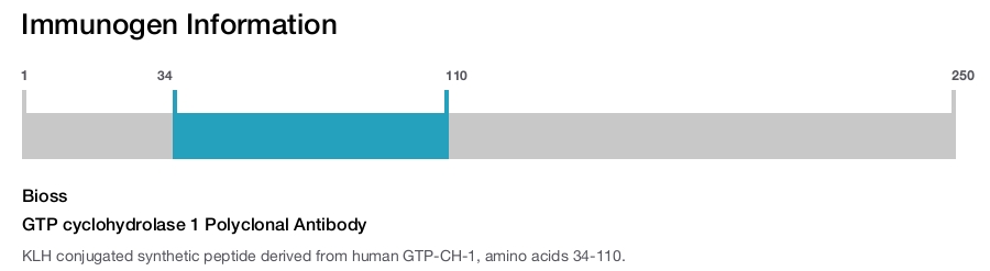 GTP cyclohydrolase 1 Polyclonal Antibody