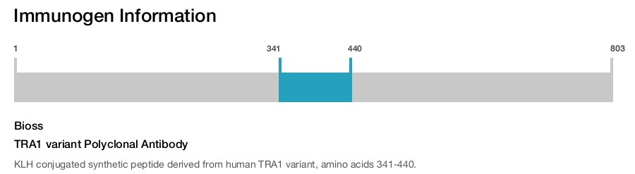 TRA1 variant Polyclonal Antibody