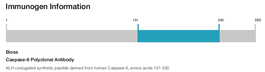 Caspase-6 Polyclonal Antibody