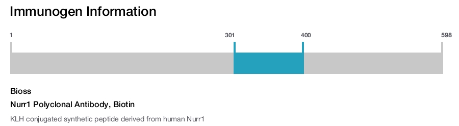 Nurr1 Polyclonal Antibody, Biotin