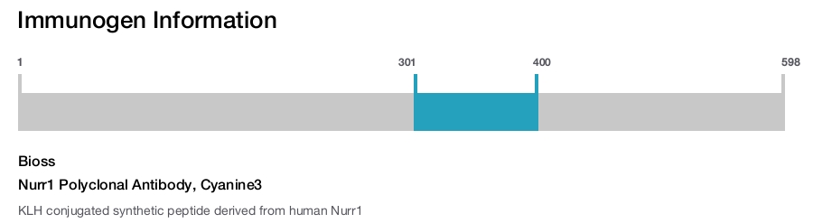 Nurr1 Polyclonal Antibody, Cyanine3