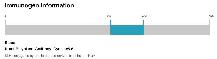 Nurr1 Polyclonal Antibody, Cyanine5.5