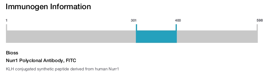 Nurr1 Polyclonal Antibody, FITC