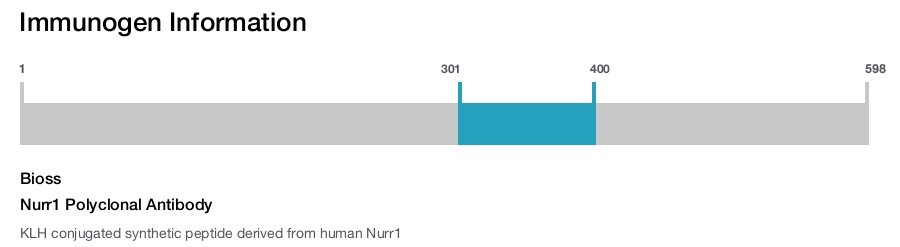 Nurr1 Polyclonal Antibody