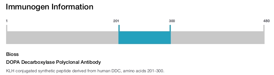 DOPA Decarboxylase Polyclonal Antibody