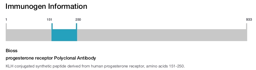 progesterone receptor Polyclonal Antibody
