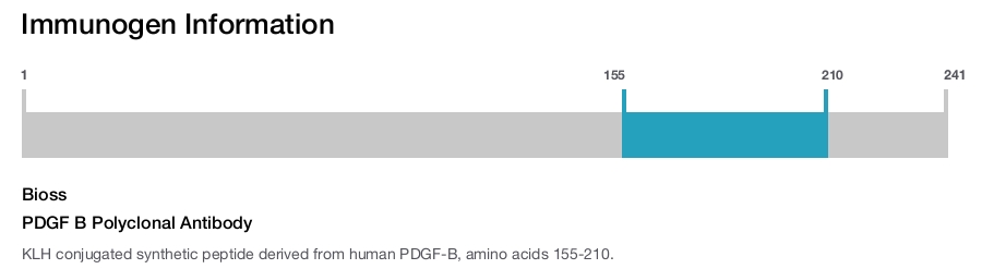 PDGF B Polyclonal Antibody