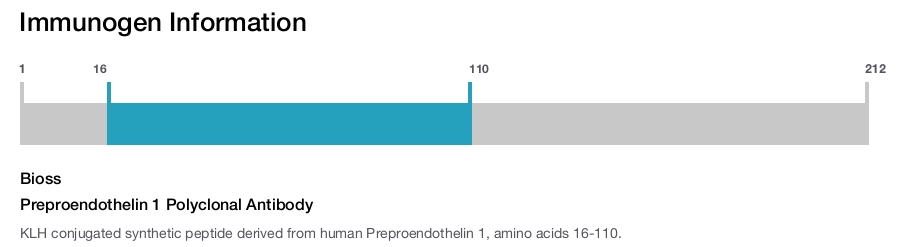 Preproendothelin 1 Polyclonal Antibody