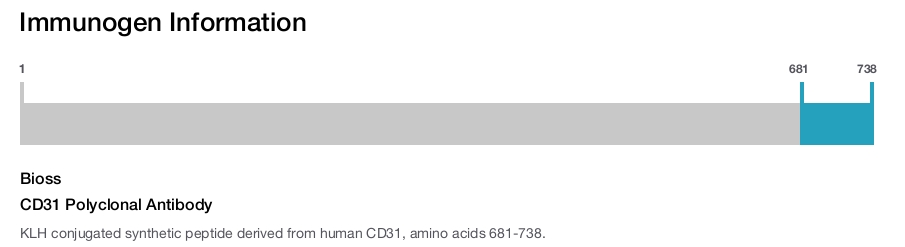 CD31 Polyclonal Antibody