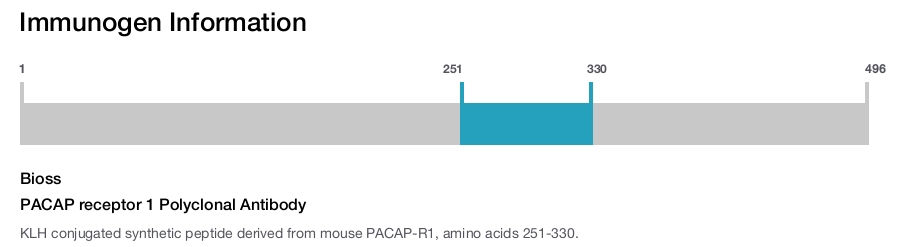 PACAP receptor 1 Polyclonal Antibody