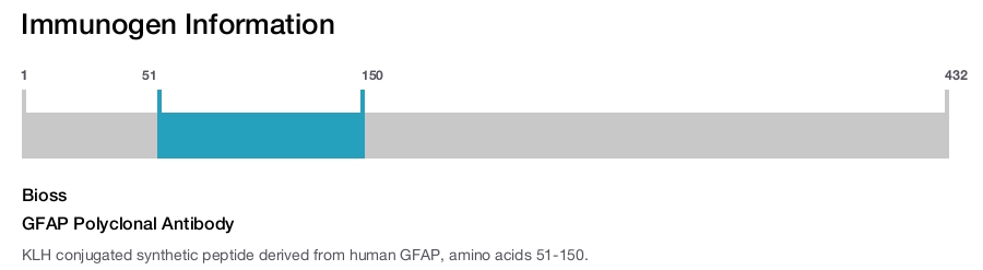 GFAP Polyclonal Antibody